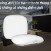 Thiết bị phát wifi LigoNFT-1N LigoWave