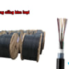 Cáp quang chôn trực tiếp 12fo M3-Viettel