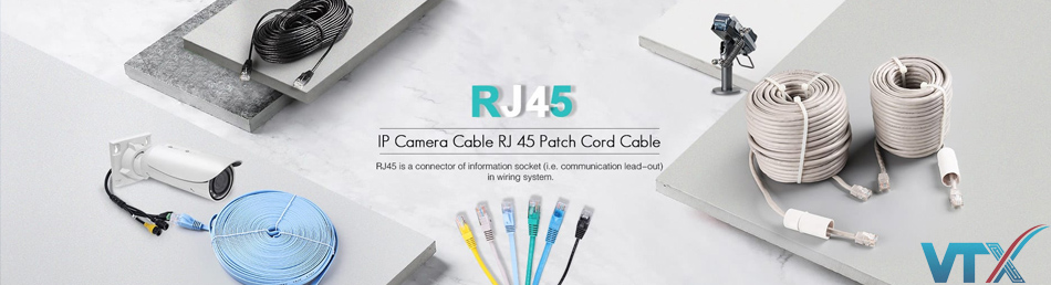 Baner Day nhay RJ45