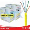 Dây cáp mạng Golden Link Cat6 UTP