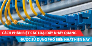 Cách phân biệt các loại dây nhảy quang được sử dụng phổ biến nhất hiện nay