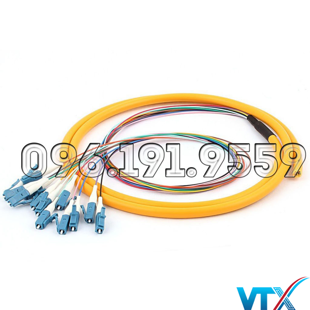 day-nhay-quang-va-day-dan-quang-co-diem-gi-khac-biet (1)