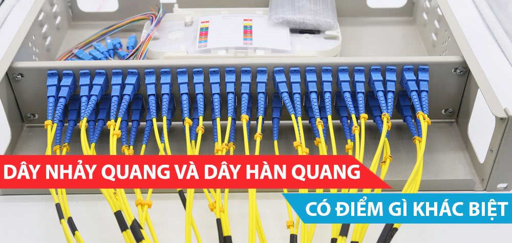 day-nhay-quang-va-day-dan-quang-co-diem-gi-khac-biet