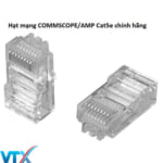 Hạt bấm mạng COMMSCOPE Cat5 – PN: 6-554720-3