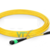 Dây nhảy quang SM MTP-MTP nhập khẩu VTXVN (1)