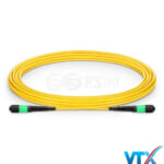 Dây nhảy quang SM MTP-MTP nhập khẩu VTXVN (1)