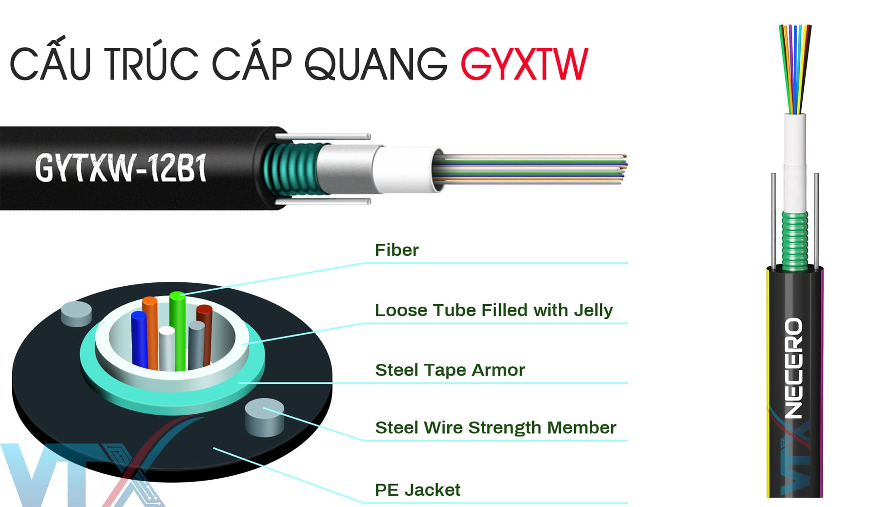 Cấu trúc cáp quang GYXTW